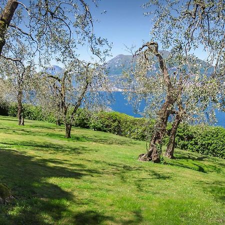 Villa Dismero-Un Oasi Di Lusso E Privacy Brenzone sul Garda Eksteriør billede