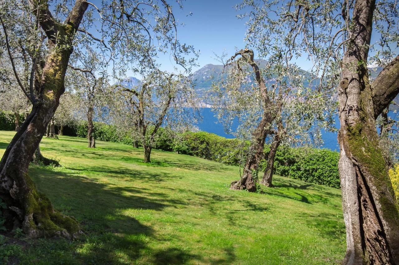 Villa Dismero-Un Oasi Di Lusso E Privacy Brenzone sul Garda Eksteriør billede